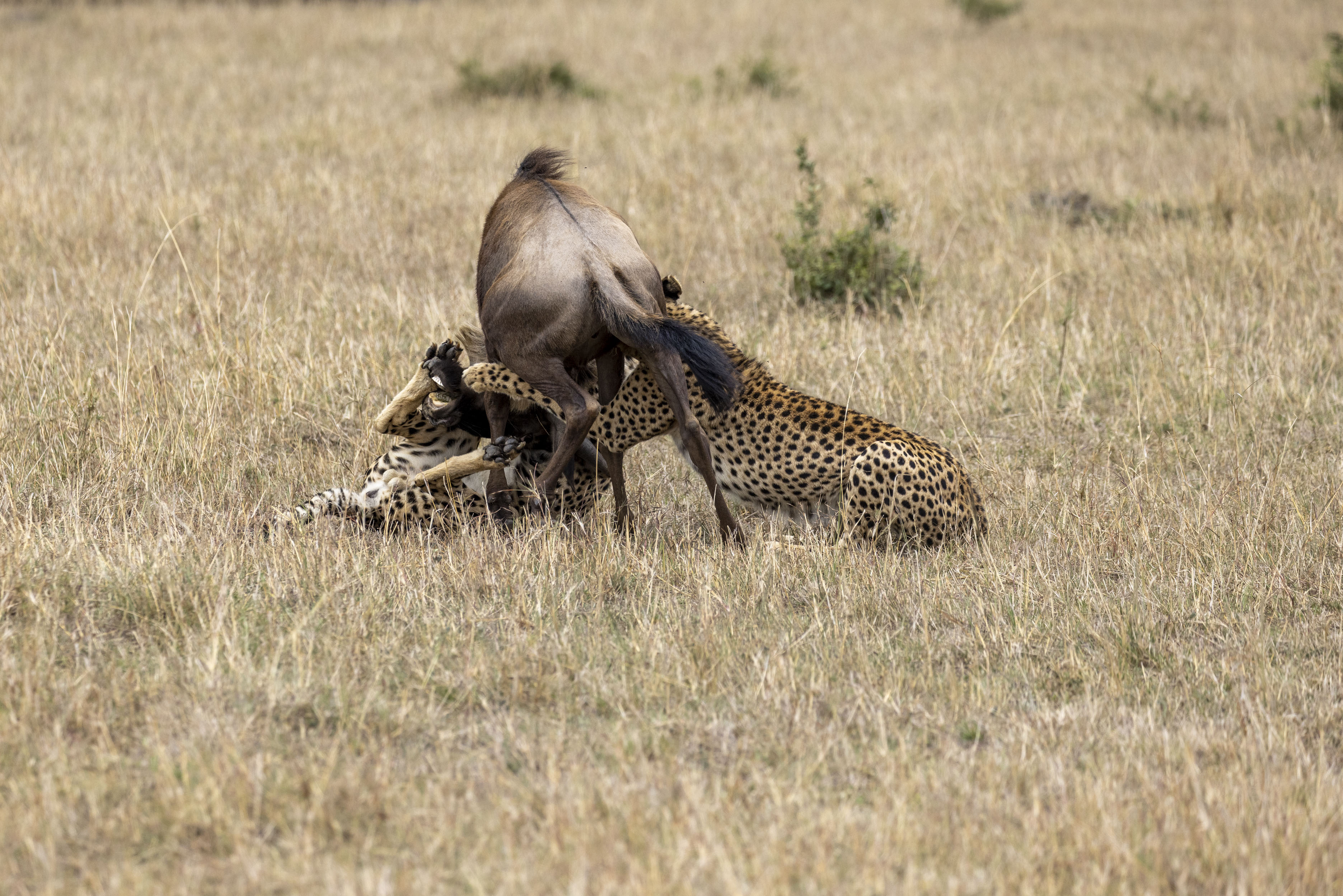 November 12, 2022-110242-8.jpg